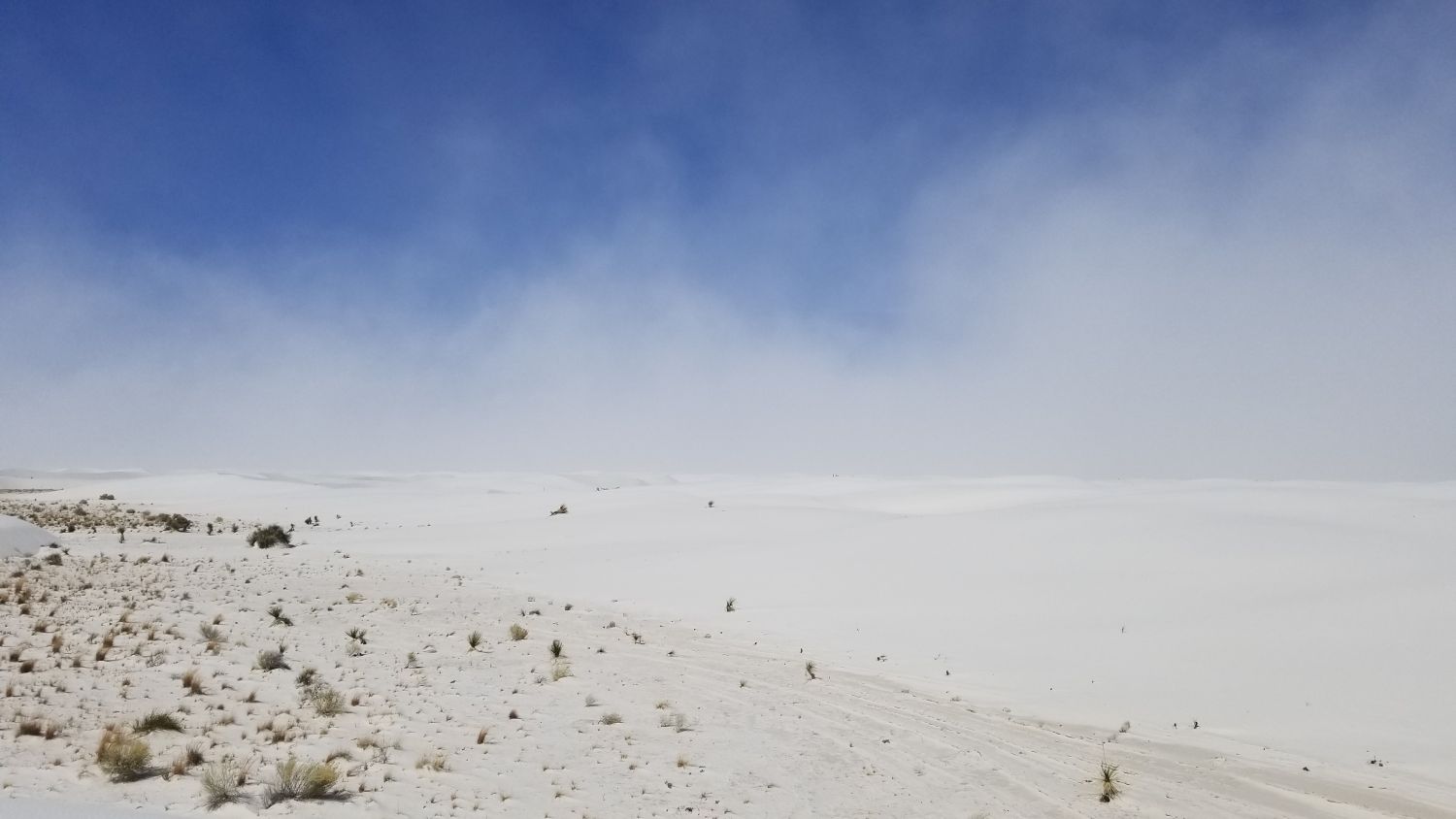 White Sands BackCountry Trail 